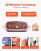 Vibration Plate Exercise Machine with Magnetic Acupoints Full Body Fitness